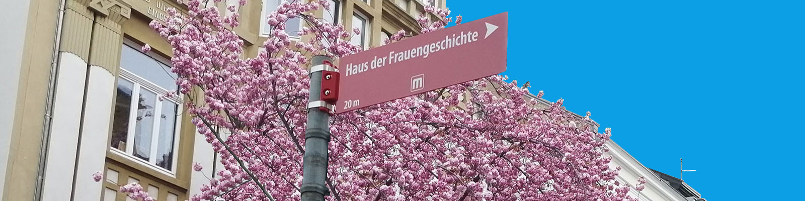 Straßenhinweisschild zum Haus der FrauenGeschichte vor dem Hintergrund eines Kirschblütenbaums